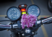 lilac motorcycle