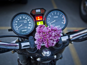 lilac motorcycle